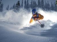 FB体育下载-布伦森掌控比赛走势，浙江队魔术般带走胜利