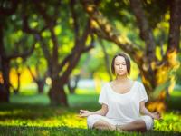 FB体育-玻利维亚的节奏魔法，当南美韵律掌控德国战车，布鲁诺的火热状态如何点燃赛场？